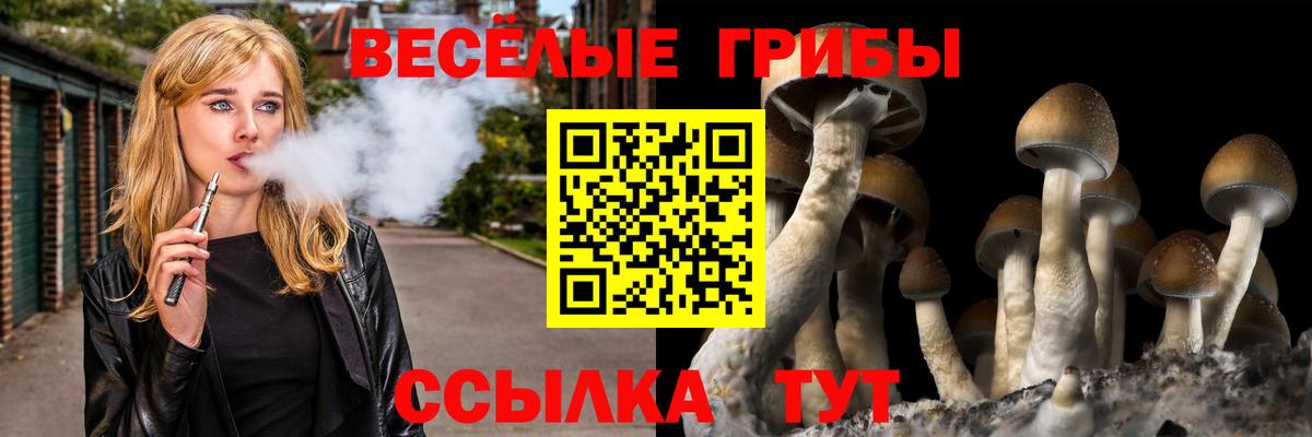 Пыть-Ях  Галлюциногенные грибы Psilocybe  Вход с VPN 